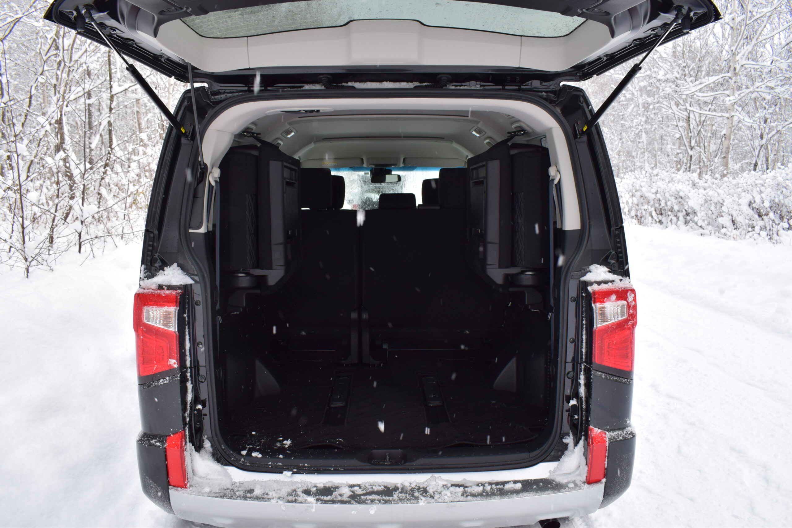 DELICA_back